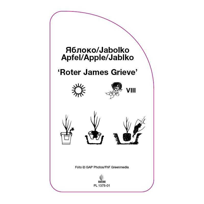 jablon-roter-james-grieve-0