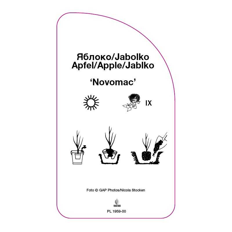 jablon-novomac-0