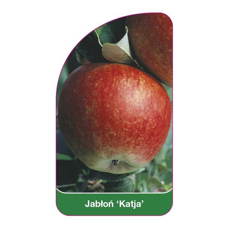 jablon-katja-1