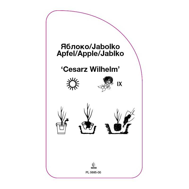 jablon-cesarz-wilhelm-0