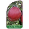 jablon-braeburn-1