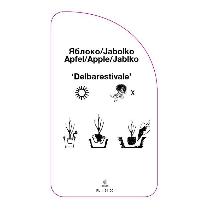 jablon-delbarestivale-0