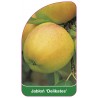 jablon-delikates-a1