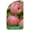 jablon-florina-1