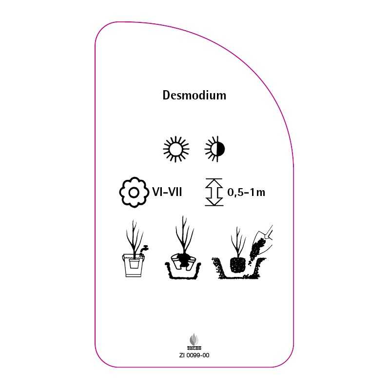 desmodium0