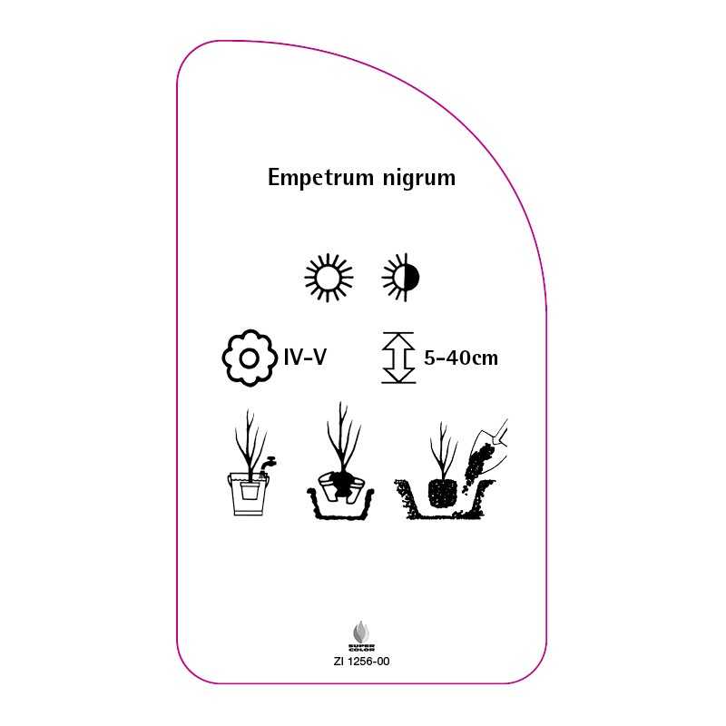 empetrum-nigrum0