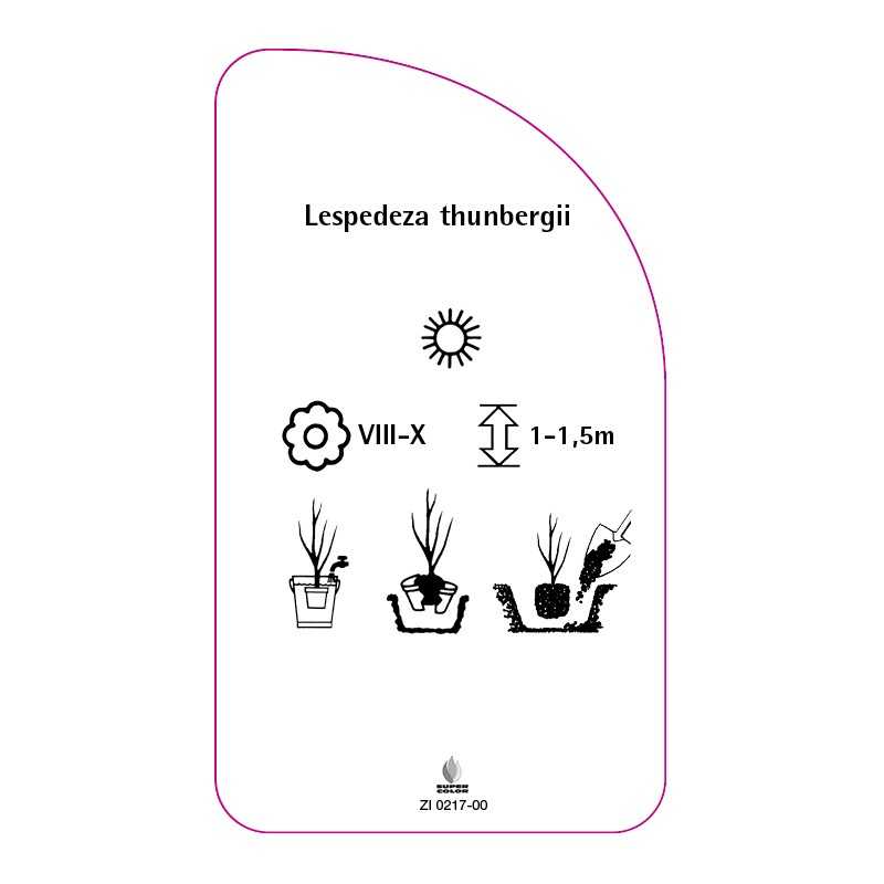 lespedeza-thunbergii0