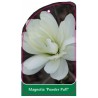 magnolia-powder-puff-1