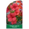 campsis-radicans-ursynow-b1