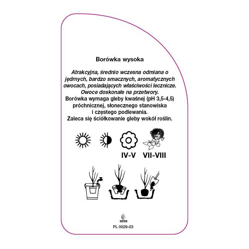 borowka-bluejay-standard0