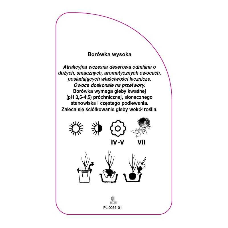 borowka-duke-standard0