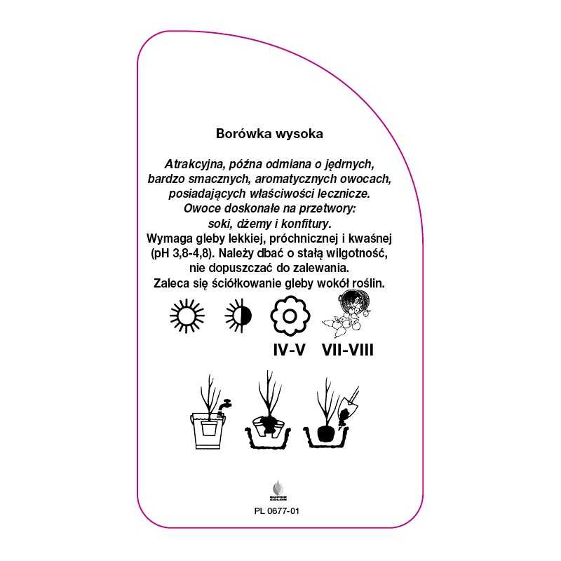 borowka-elizabeth-standard0