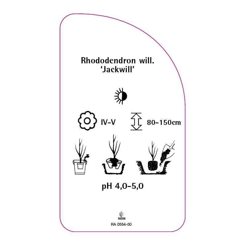 rhododendron-williamsianum-jackwill-0