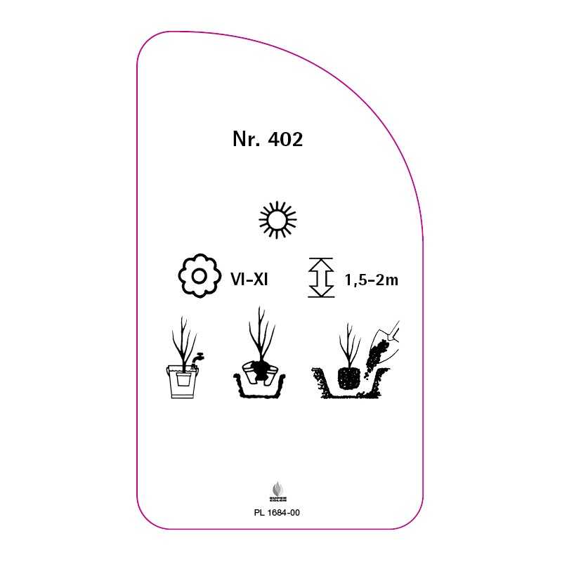 roza-parkowa-402-standard0