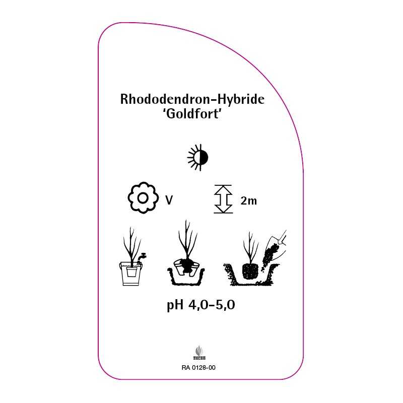 rhododendron-goldfort-0