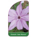 clematis-john-warren-a0