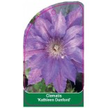 clematis-kathleen-dunford-a0