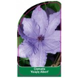 clematis-ksiaze-albert-c0