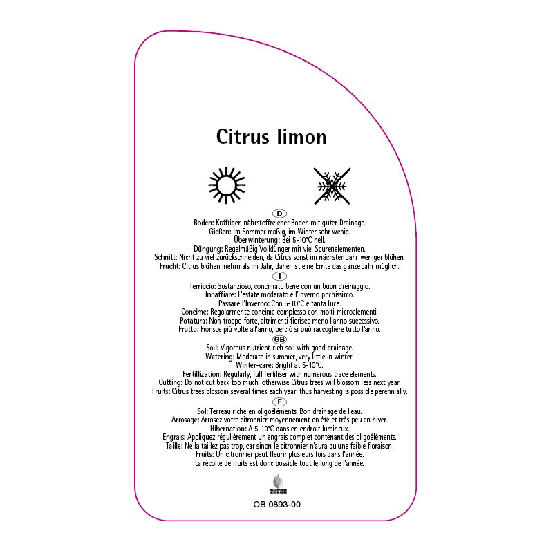 citrus-limon-zitrone1