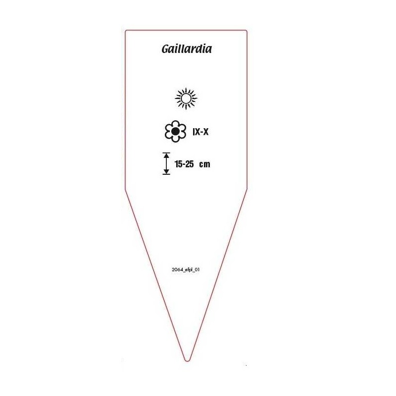 gaillardia-rot-21