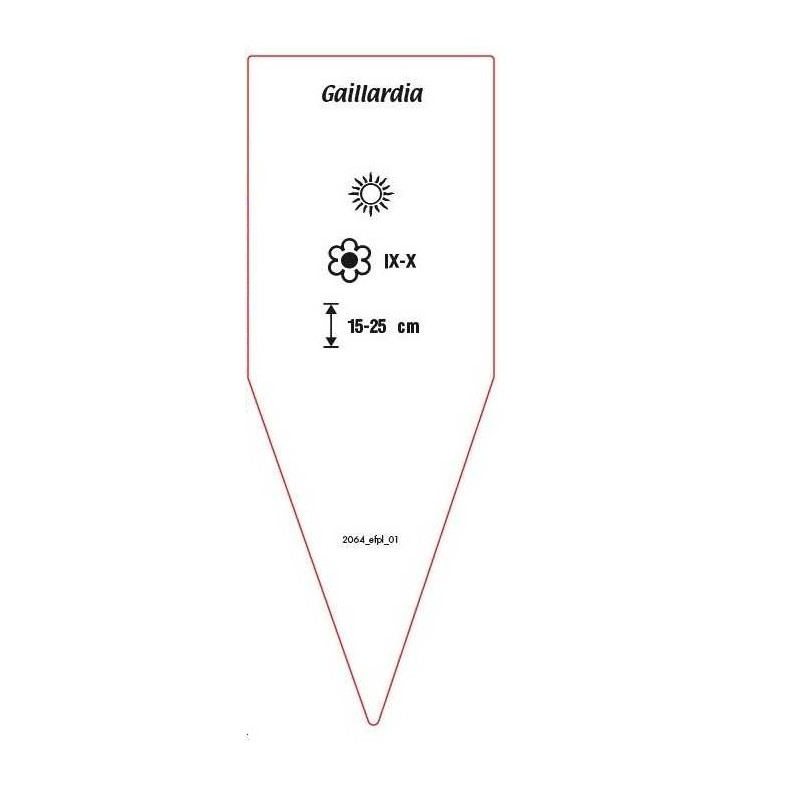 gaillardia-rot-a1