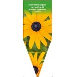 rudbeckia-fulgida-var-sullivantii-goldsturm-b0