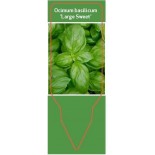 ocimum-basilicum-large-sweet-0