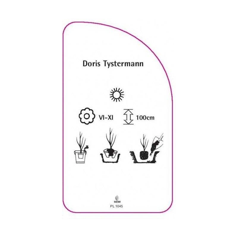 roza-doris-tystermann-1