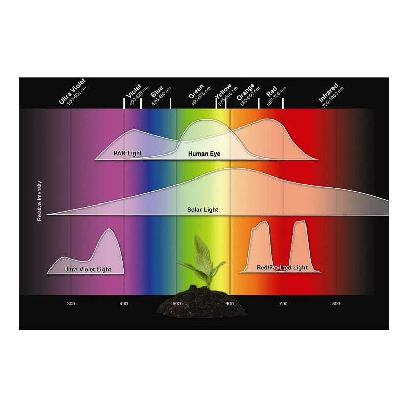 parquantum-meter-miernik-kwantowy0